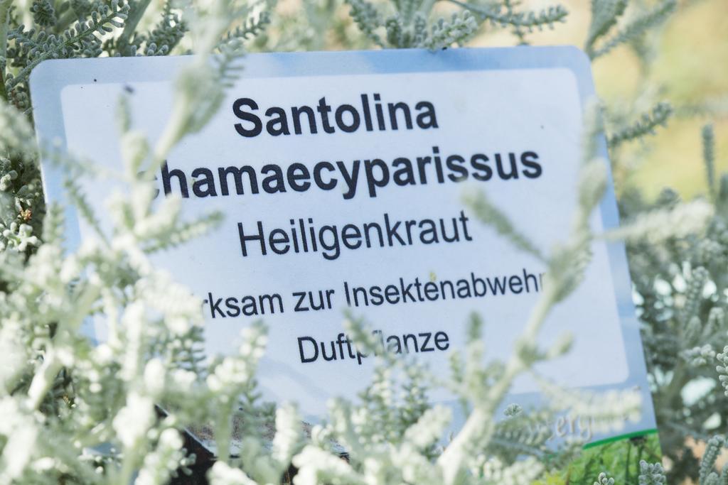 Kraeuterpension Rosenkranz Rangersdorf Kültér fotó